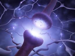 Neuron Image Blue